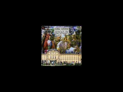 Rocci Life - 'Dem Waan Ganja' (Aerial Manor Music Production)