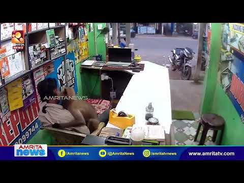 കടയിലെത്തിയ അപ്രതീക്ഷിത അതിഥി കടയുടമയെ കെട്ടിപ്പിടിച്ചു! പ്രകൃതിയുടെ ചേർത്തുപിടിക്കലിൽ വൈറൽ !