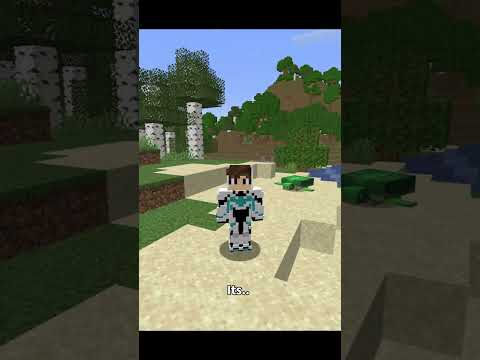 The Greatest Minecraft SpeedRun...
