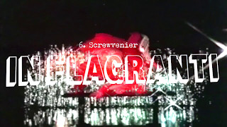 IN FLAGRANTI - 6. Screwvenier