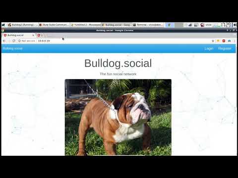 VulnHub: BullDog II Walkthrough