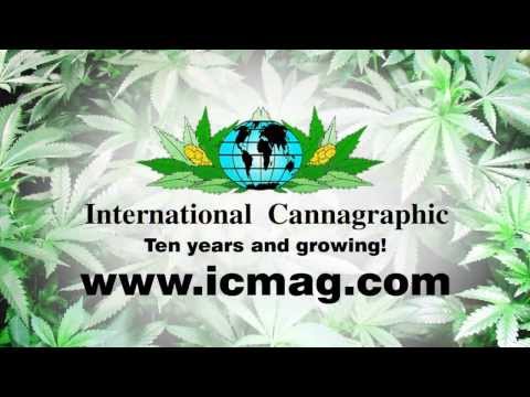 Icmag