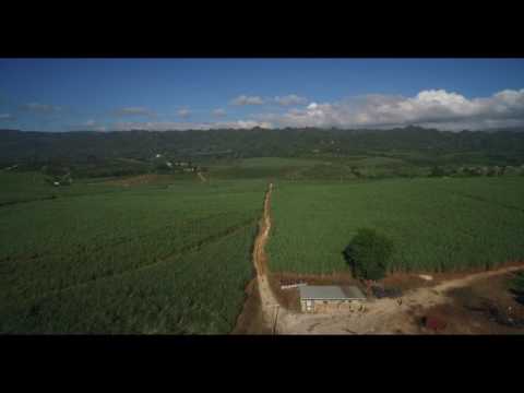 RE/MAX Elite: WakeField Farm