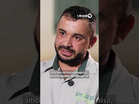 Estudo analisa DNA de queijos mineiros premiados na região do Serro