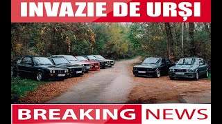 Breaking News!!!!Ursi (E30) observati intr-o padure in Arad!!!