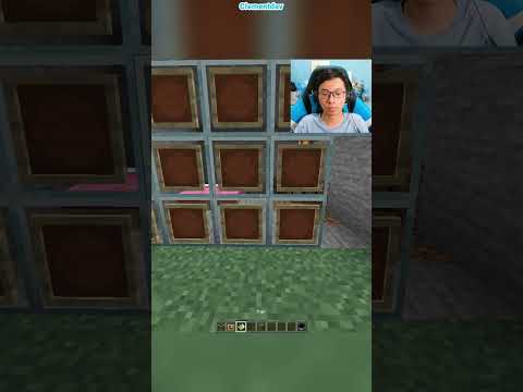 Minecraft Fake Wall はいよろこんで