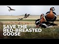 We’re Competing at Champions of the Flyway in Israel!