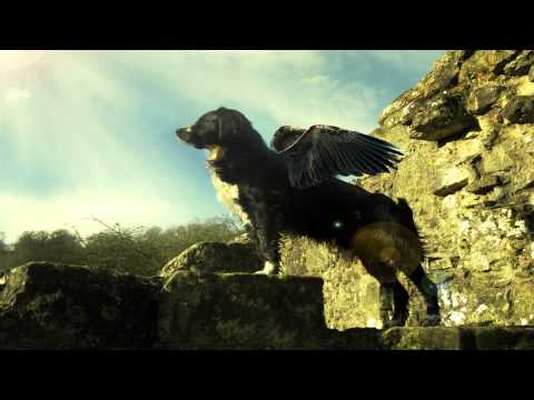 BassDonor - Give It Up