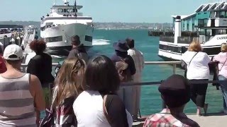 Whale Watching Boat Crashing Into San Diego Dock