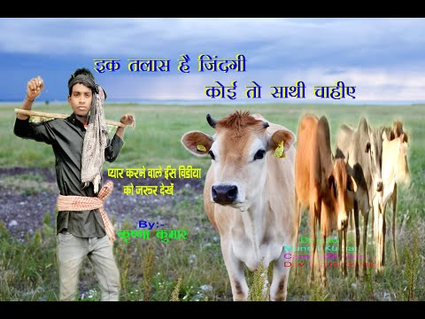 Badi Udaas Hai Zindagi 4K HD Video - Kasoor (2001) Kumar Sanu