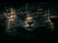 Tamil Best Facts Line Whatsapp Status Billa 2 Song Whatsapp Status Ak