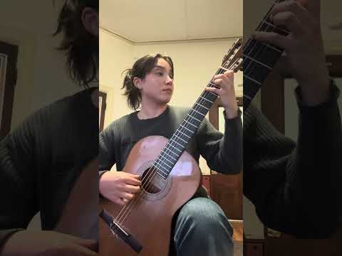 Day 67/100 - Concierto de Aranjuez, Second Movement, Joaquín Rodrigo