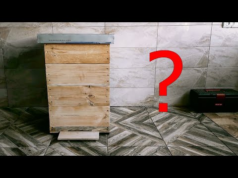 Presentation of the hives with 10 frames with 1/2 cat