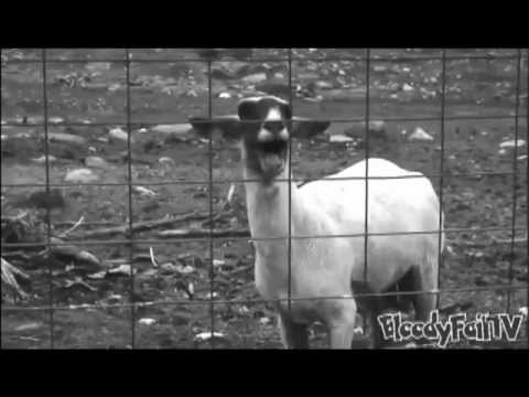 whitney houston and the screaming goat