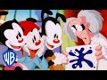 Animaniacs The Warners Mind Games Classic Cartoon WB Kids