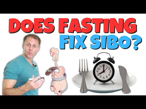 Should I Fast to Fix SIBO