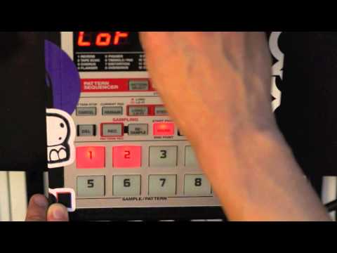 SP 303 Resampling method - #2 - Andy Ongulous