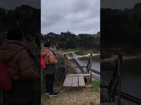 Puente colgante en la coronilla Rocha Uruguay 🙌❤️‍🔥🪶🛵#destacar #viralvideo #viral #motoviajero