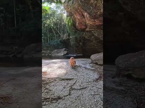 Serra do Funil - Rio Preto MG (Cachoeira Amorosa)