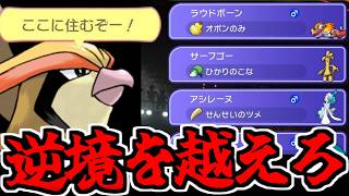 【実況】居場所を求めて!! メガピジョットは現環境でパーティの席を守り切ることが出来るのか【ライバルはマンダ】