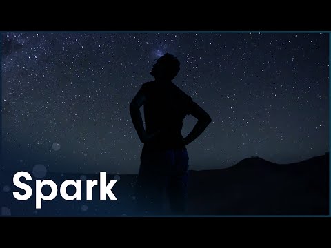 How Humans And Animals Evolved To Follow The Stars