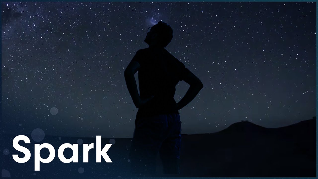 How Humans And Animals Evolved To Follow The Stars