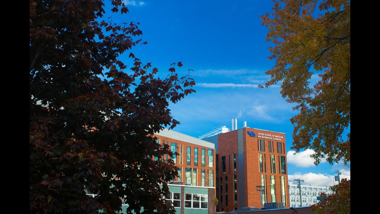 Application Webinar: Natural Sciences Interdisciplinary MS Program