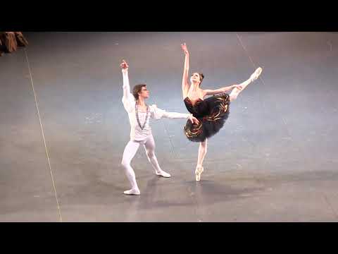 Ekaterina Borchenko & Victor Lebedev - Black Swan