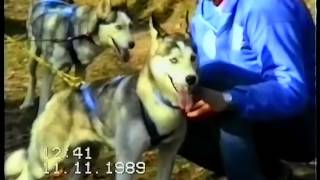 preview picture of video 'Schlittenhunderennen in Deutschland, Breuna 1989 von tubehorst1'