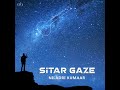 SITAR GAZE ALBUM | Niladri Kumaar |  01 - Sitar Gaze FULL AUDIO
