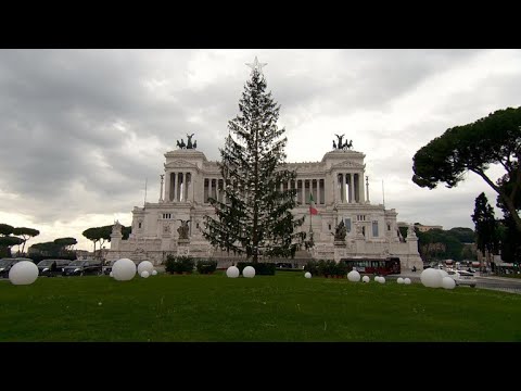 Rome's sickly-looking Christmas tree draws ridicule