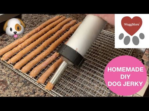 Homemade DIY Dog Jerky Treats