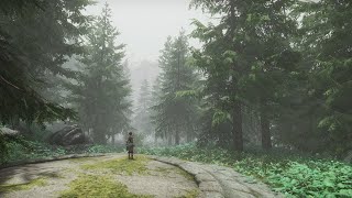4K - Skyrim SE 2024 Ultra modded with PI-CHO ENB for Cathedral weathers