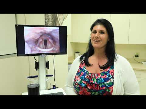 Phonation Resistance Training Exercises (PhoRTE)