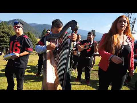 Bombo y Maracas | Cuerdas de Venezuela (Video Oficial)