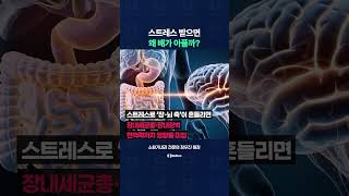 스트레스만 받으면 배가 아픈 이유는?