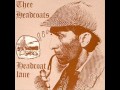 Thee Headcoats - Headcoat Lane 