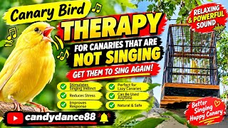 Download lagu Burung Kenari Berhenti Bernyanyi? Coba Suara Ini - Respons Otomatis! mp3