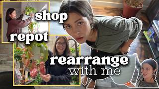 Daily life | repot my 8ft dracaena, planter shopping, & rearrange