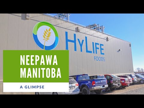 Neepawa, MB, Canada. Hylife Foods and where to apply