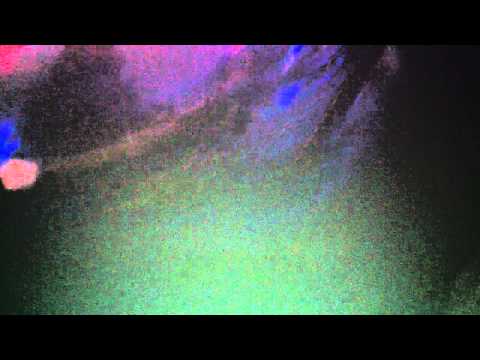 Nic Fanciulli Playing The Tide by Joris Voorn