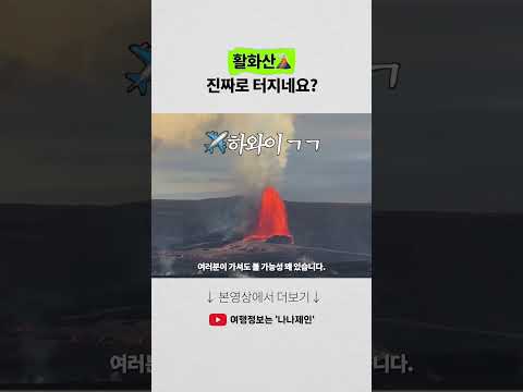 화산 폭발 경험: 하와이 킬라우에아 라이브 리포트
