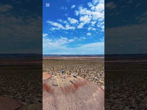 # Plottier # Neuquén