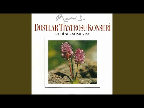 Dam Üstünde Çul Serer