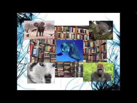 The Writing Process: Informative Writing