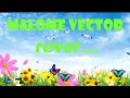 MALOME VECTOR  - ROVER lyrics
