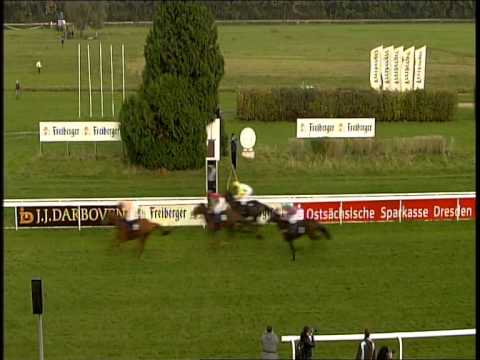 Galopprennbahn Dresden - 25.10.2014 - 3.Rennen