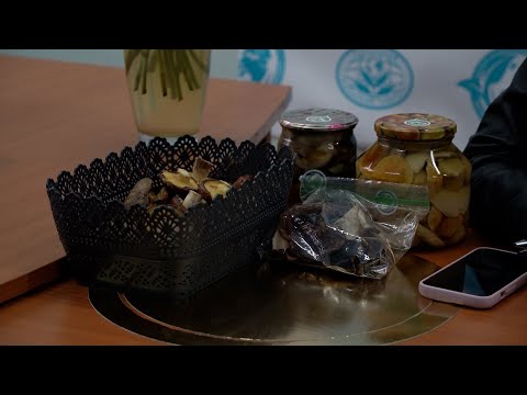 ​На Житомирщині розпочався грибний сезон: як убезпечити себе від отруєння грибами