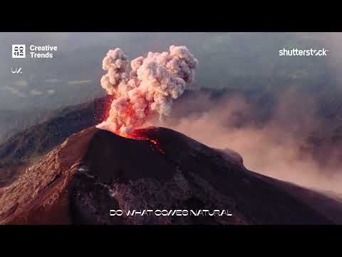 The United Kingdom - The 2022 Creative Trends 2022 - Shutterstock