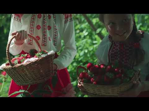 Festivalul Mierii şi Căpşunilor în Sadova